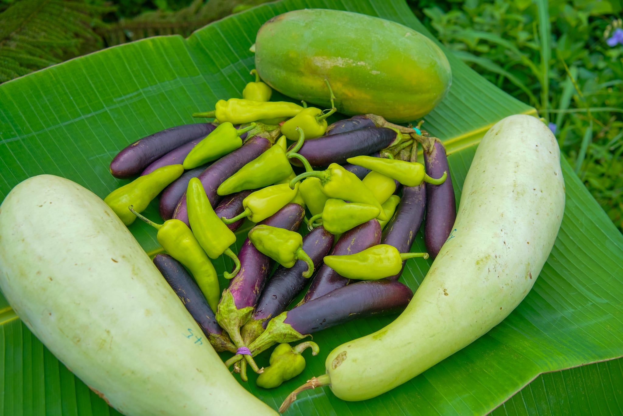 309a4095-bbd7-45a8-9d13-7ba2c6316c4c