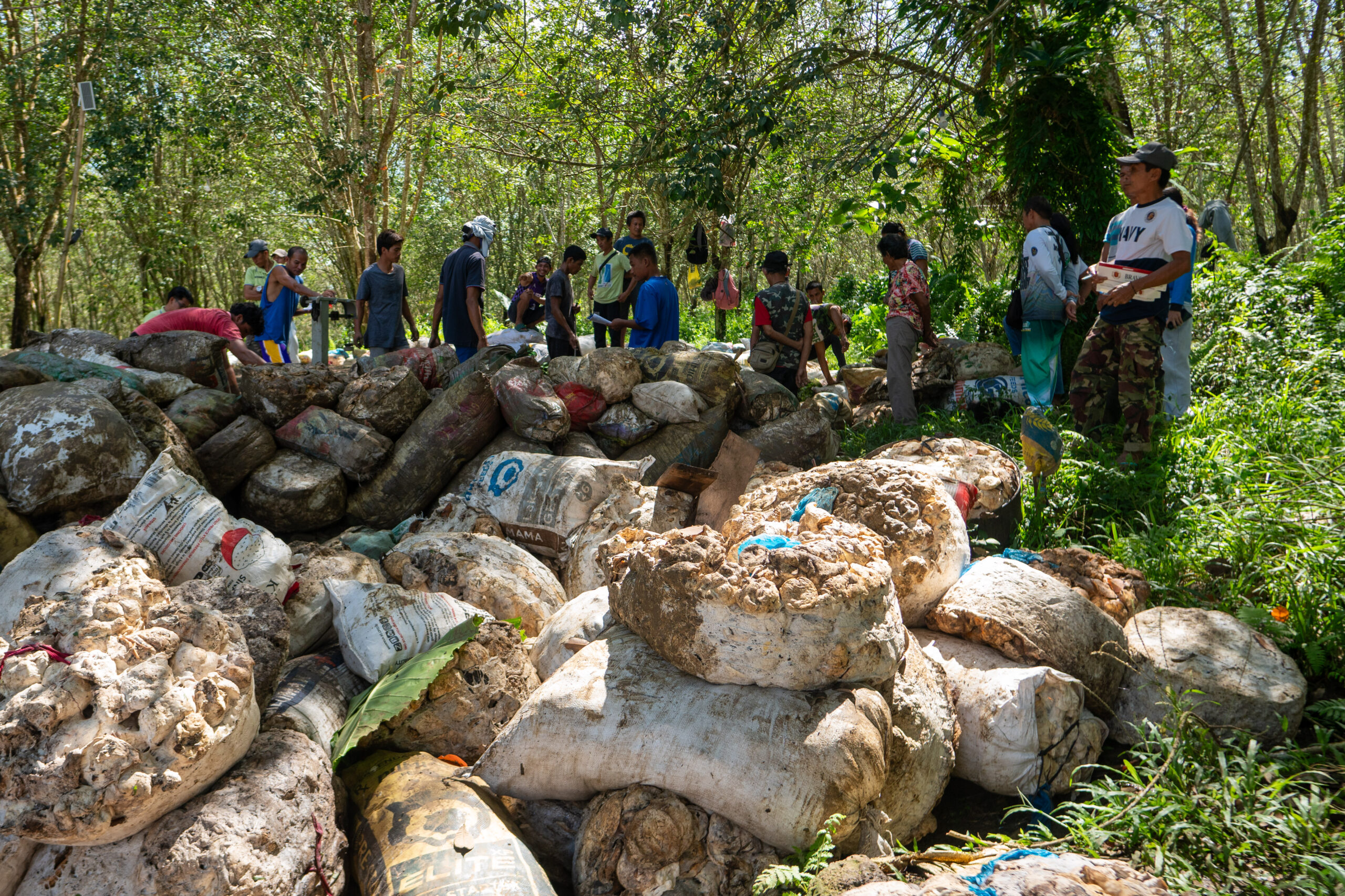 Copy of Hansel_Realino-10